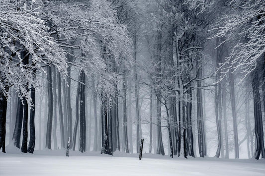 Hochbeet im Winter - So schuetzt du dein Beet vor Frost